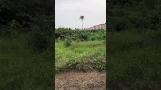 2 plots of Mixed Use land Adiva Estate Beechwood Lakowe IbejuLekki PRICE N25mplot [upl. by Leidag669]