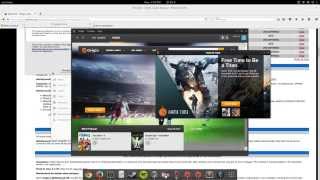 How To Install EA Origin On Linux [upl. by Eirellav]