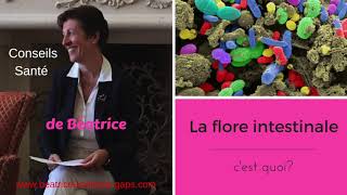 Quest ce que la flore intestinale [upl. by Annaya262]