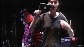 Sinéad OConnor  Famine  Live Pinkpop 1995 [upl. by Aivatco]