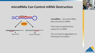 BIOL201 Ch165  Eukaryotic PostTranscriptional Gene Regulation [upl. by Elletsyrc]