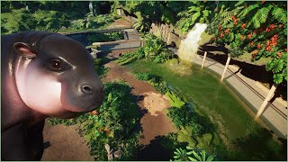 🦛Tropical pygmy hippo habitat with cave view  Conuco Zoo  Planet Zoo  speedbuild🥑 [upl. by Barde]