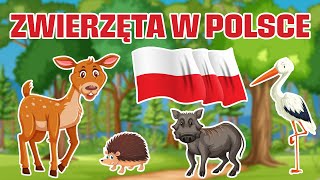 Zwierzęta w Polsce  Bajka edukacyjna dla dzieci  Nauka zwierząt dla dzieci po polsku [upl. by Juxon128]