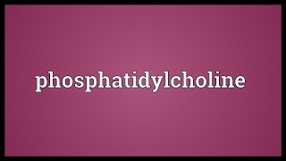 Phosphatidylcholine Meaning [upl. by Etam]