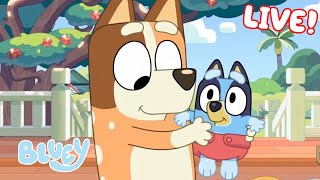 🔴LIVE Best of Bluey Series 2  FULL EPISODES  Bluey [upl. by Kenaz624]