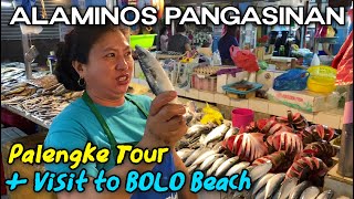 ALAMINOS WET MARKET  BOLO BEACH Walking Tour  Alaminos City Pangasinan Philippines [upl. by Calise]