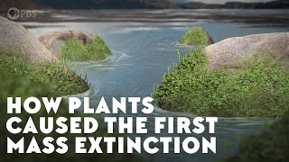 How Plants Caused the First Mass Extinction [upl. by Idolem]