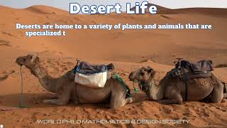 DESERTS LANDFORMSLIFE [upl. by Auof]