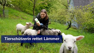 Tierschützerin Frederike Hecker rettet kranke und verwaiste Lämmer [upl. by Yllac]