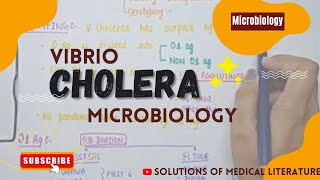 Vibrio Cholera  Pathogenesis  signs amp symptoms  diagnosis amp Treatment  MICROBIOLOGY [upl. by Forrest]