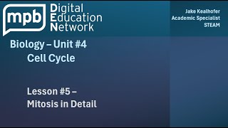 MPB Biology Unit 4 Lesson 5 Mitosis In Detail [upl. by Nylirehc]