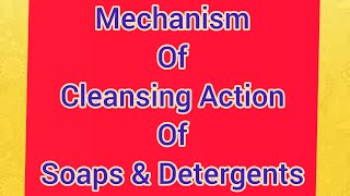 Mechanism of cleansing Action of soaps and Detergents  simplified  class 11 amp 12 [upl. by Ahsemot]