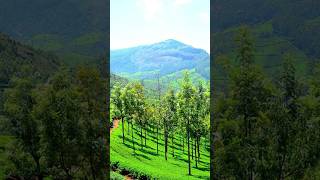 Beautiful Hill Stations In South India weekenddestination weekendgetaway traveldestination HD [upl. by Niklaus486]