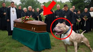 DOG BARKS AT THE COFFIN DURING FUNERAL WHEN A MAN ASKS WHY THE PRIEST GETS NERVOUS AND… [upl. by Ahsit239]