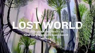 Worlds Oldest Fossilized Forest Unearthed in NY [upl. by Hefter]