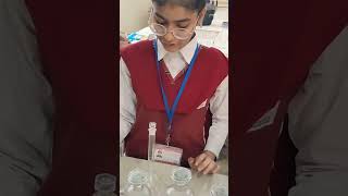 prepare concentrated hydrochloric acid to dilute HCl solution in different molarity [upl. by O'Donovan764]