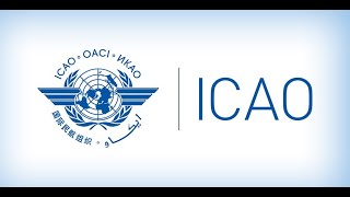 Indonesia Participated in Promoting the SARP Development Related to the Water Aerodrome in ICAO [upl. by Joelie177]