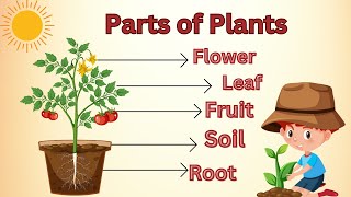 Learn Parts of a Plant for Kids in a Fun Way Parts of a Plant for kids Kid Zone A to Z [upl. by Tezil486]