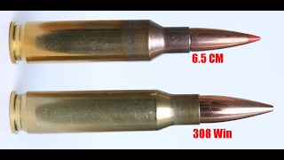 Can The 65 Creedmoor Replace the 308 Win As A SHTF Cartridge [upl. by Featherstone270]