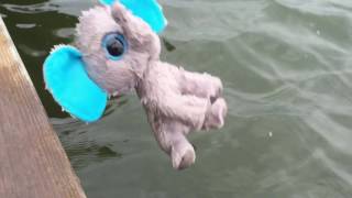 Beanie Boos Go Swimming [upl. by Ateval]