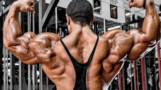 Roelly Winklaars Back and Arms Training  2 Weeks from Chicago Pro [upl. by Atiuqel746]