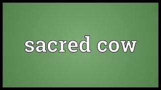 Sacred cow Meaning [upl. by Ciccia]