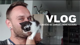 Honzík Lací  Vlog Co nového na zahradě  máme kocoura [upl. by Tenneb]