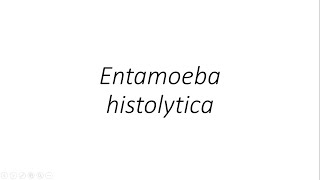 Entamoeba histolytica  Parasitology [upl. by Westfall]