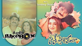 Ninne Pelladatha Telugu Songs Jukebox  Nagarjuna Tabu  Sandeep Chowta  ilovesongs90s [upl. by Mayne850]