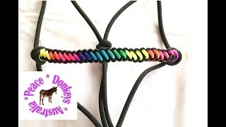 Multicolour bootlace noseband for a horse halter [upl. by Anitsahs]