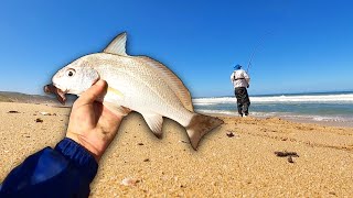 Fishing for Baardman and Galjoen in Witsand Some fishing days are just better than other [upl. by Retnyw820]