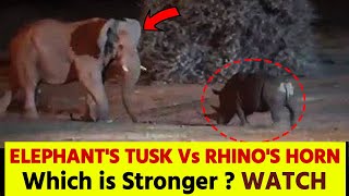 Elephant Vs Rhino in Indian Forest  Elephant Tusk Vs Rhino Horn see who wins [upl. by Nidya656]