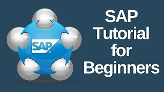 SAP Tutorial for Beginners [upl. by Aikemaj79]