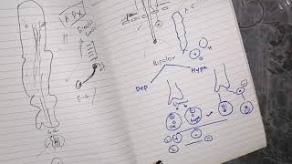 Function of Horizontal bipolar amacrine ganglionic cells guyton 51 last part 8 [upl. by Grassi]