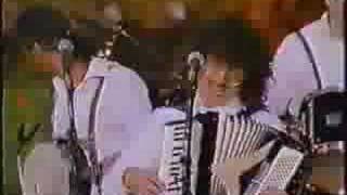 Weird Al performs a polka hybrid [upl. by Nesiaj]