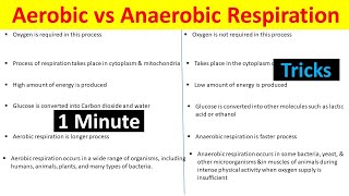 Aerobic vs Anaerobic Respiration Understanding the Differences BiologyLectures [upl. by Lukin]