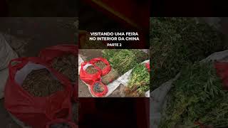 Genteee vocês precisam ver esse VLOG que gravei em uma feira no interior da China [upl. by Maudie]