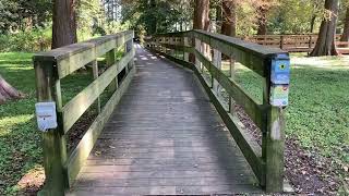 Taking a look at Reelfoot Lake and Tiptonville Tennessee [upl. by Ganley]