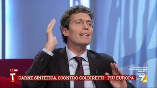 Carne coltivata rissa tra Prandini e Magi la lite continua in diretta [upl. by Gamaliel]