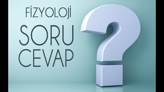 FİZYOLOJİ SORU CEVAP VİDEOSU [upl. by Dnilasor329]