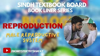 Reproductive System  Introduction Anatomy and Physiology  Biology  MCAT [upl. by Aneba]