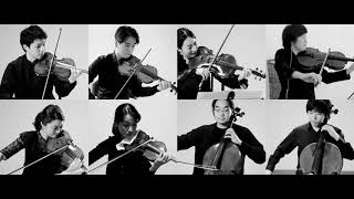 Max Bruch String Octet in Bflat Major 1st mov [upl. by Norvall811]