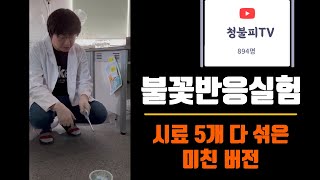 청불피TV 불꽃반응실험 시료 5개 다 섞어서 한 방에 불태워봤습니다 [upl. by Linders15]