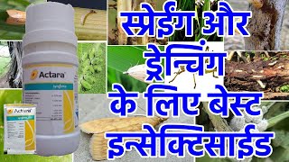 Actara Syngentaएक्टरा का स्प्रेईंग और ड्रेन्चिंग के लिए सही इस्तेमालThiamethoxam [upl. by Anaoy815]