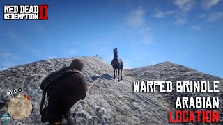 Red Dead Redemption 2  How to Get Warped Brindle Arabian  Location amp Guide [upl. by Tnilf]