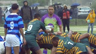 Paarl 2nd vs Bellville 2nd  2023 [upl. by Swanhildas]