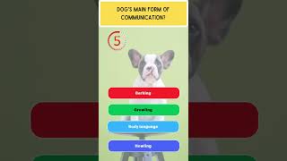 Dogs Main Form of Communication dogshorts dogquiz [upl. by Avera]