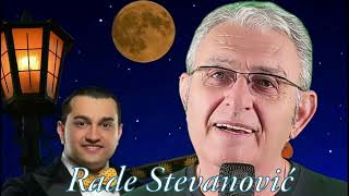 Rade Stevanović Srem  Pijanica  Official Music Audio [upl. by Giacamo577]