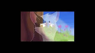 BrightHeart edit warriors amazing warriorcats edit brightheart [upl. by Grieve]