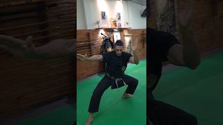 O segredo está no Kamae 🥷🤯 escoladeninjas ninjutsu ninja kotatsudojo bujinkan faixapreta [upl. by Silletram]